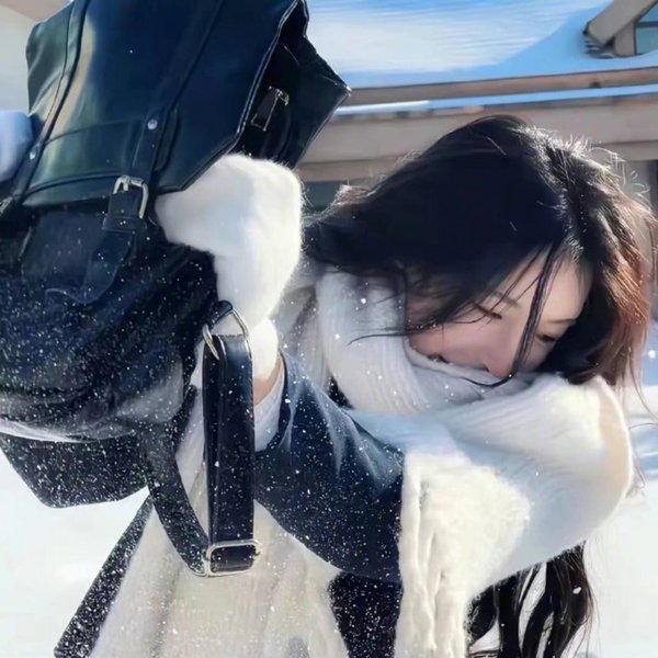 大漠皇妃