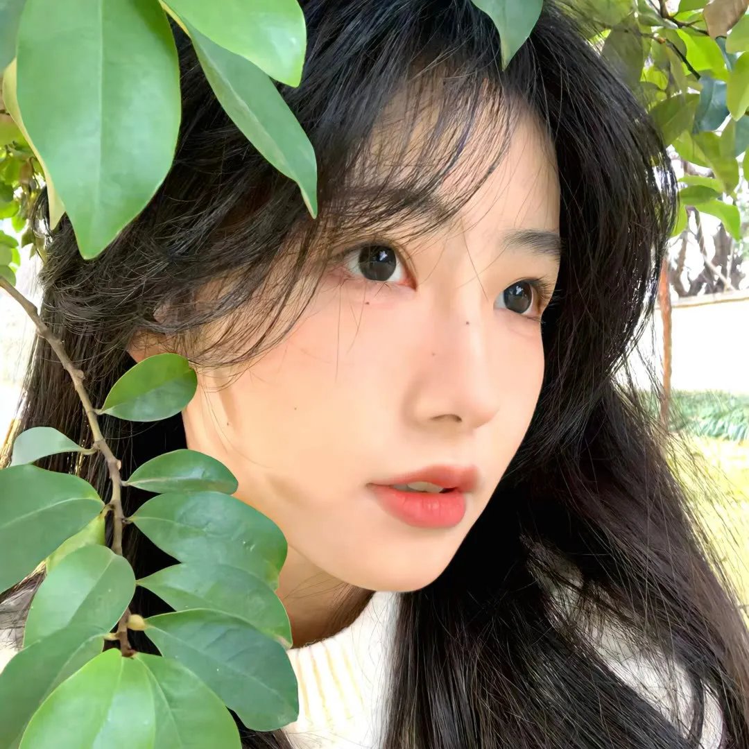 摸骨大师