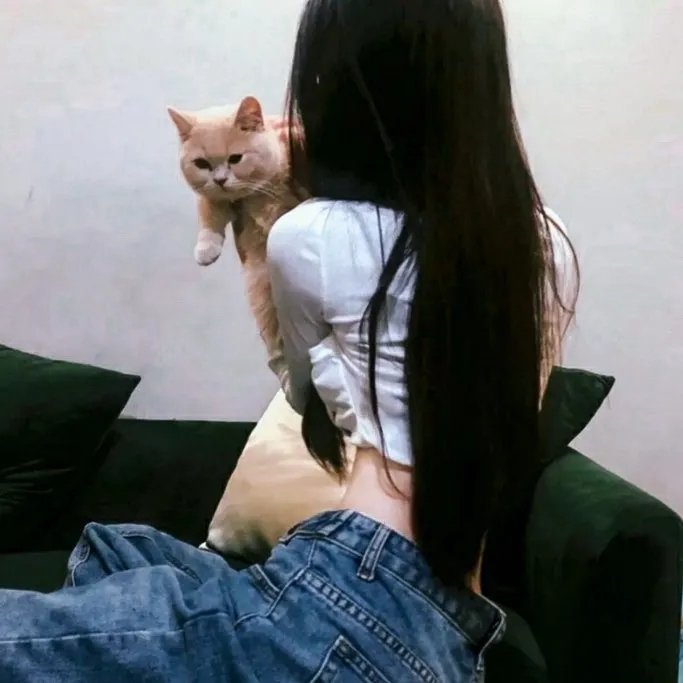 鞋猫剑客：三小恶猫
